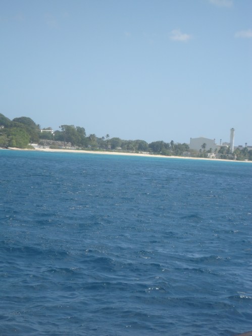 2013-01-09_Catamaran25