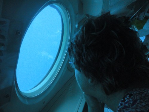 2013-01-11_AtlantisSubmarine51