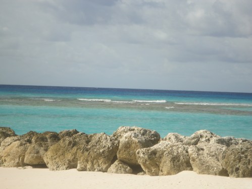 2013-01-12_WorthingBeach12