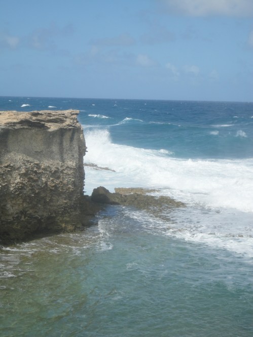 2013-01-07_LittleBay3