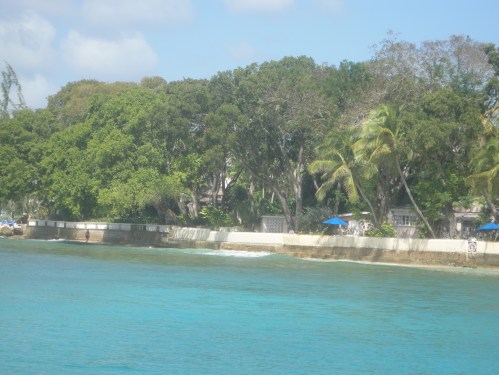 2013-01-09_Catamaran13