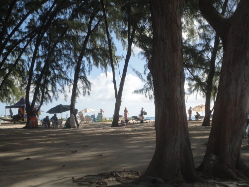 2013-01-10_MiamiBech10